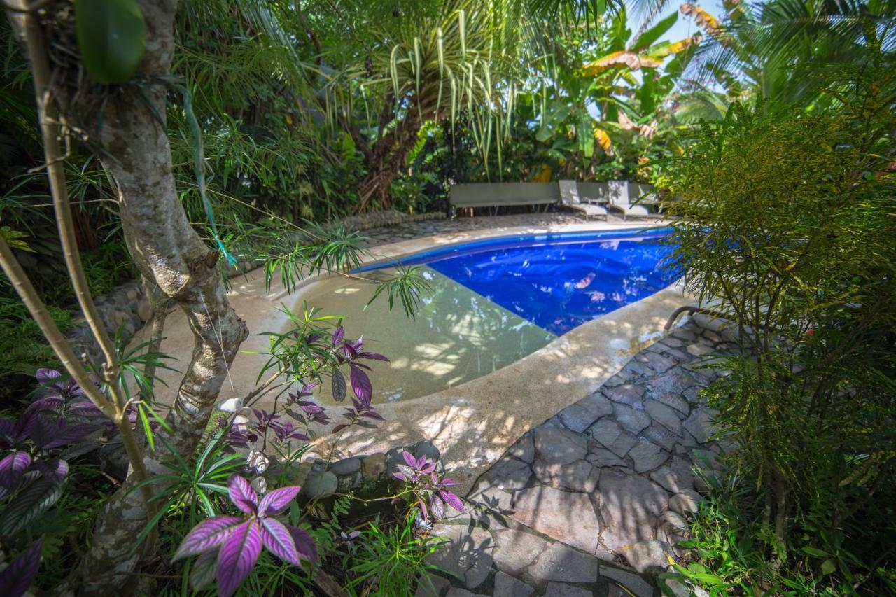 Villas Oasis Nationalpark Nationalpark Manuel Antonio Exterior foto